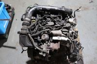 Ford FOCUS 1.6 ecoboost çıkma dolu motor