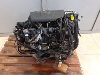 Peugeot 1.6 dv6 110 psi çıkma orjınal açılmamış ful dolu motor